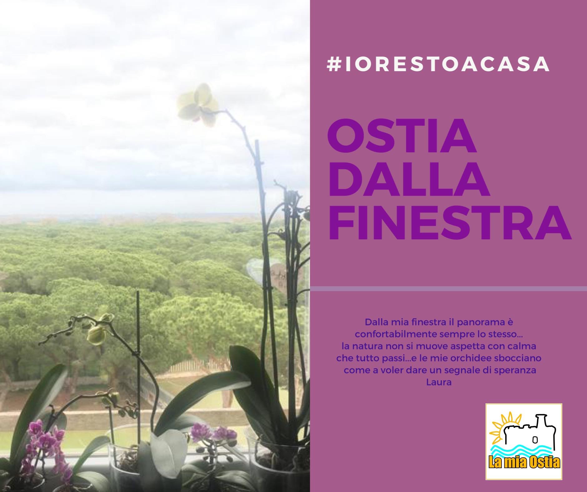 Ostia dalla finestra: mese di marzo